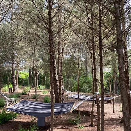 Pep De Sa Guaita Amaizing Design & Outdoor Area 10 Minutes From Beaches Calm Area Ibiza città